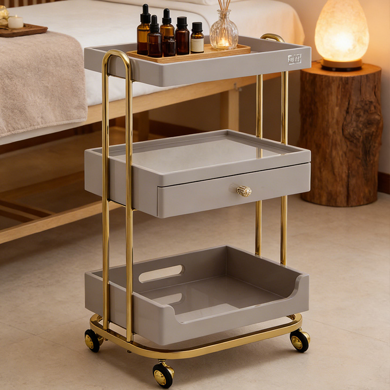Professional Beauty Salon Trol - Beauty Makeup Trolley review and price