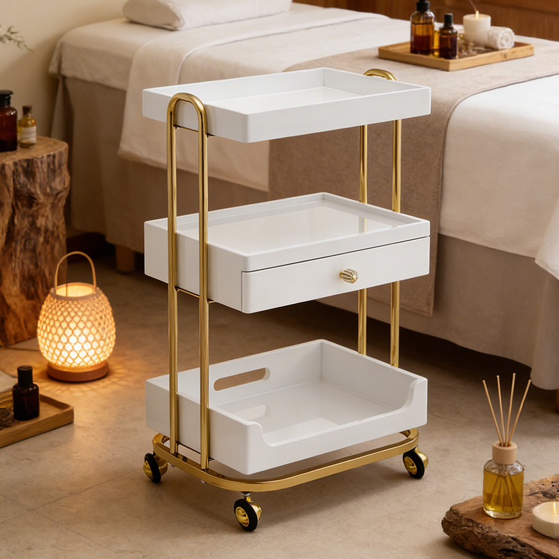 Professional Beauty Salon Trol - Beauty Makeup Trolley review and price